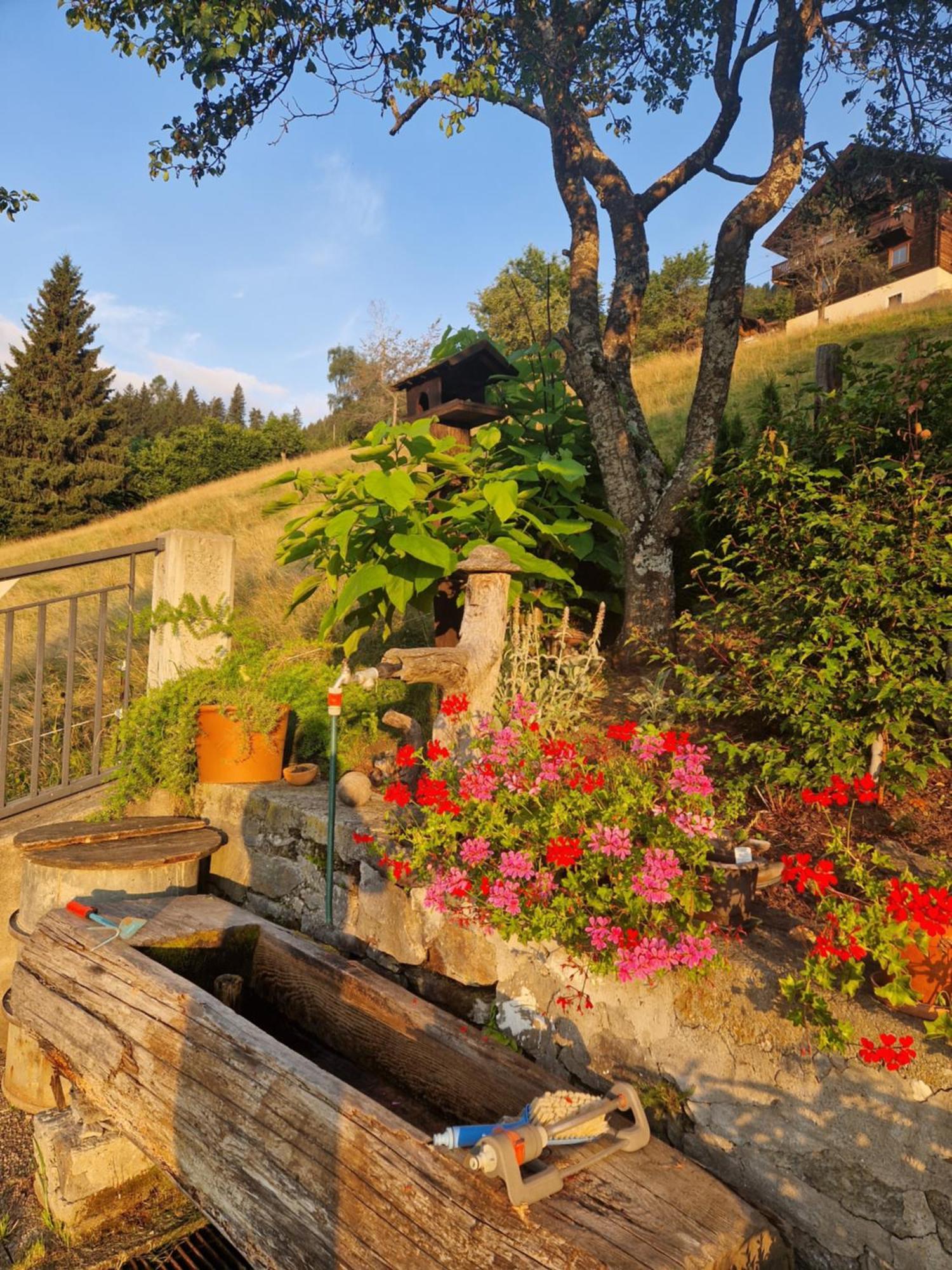 Haus Rupitsch Hotel Winklern  ภายนอก รูปภาพ